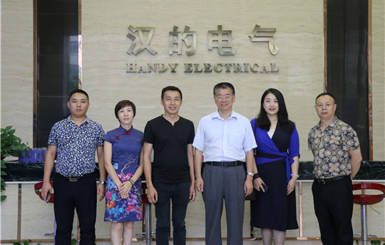 中国建筑材料流通协会秦占学会长一行莅临汉的电气参观指导